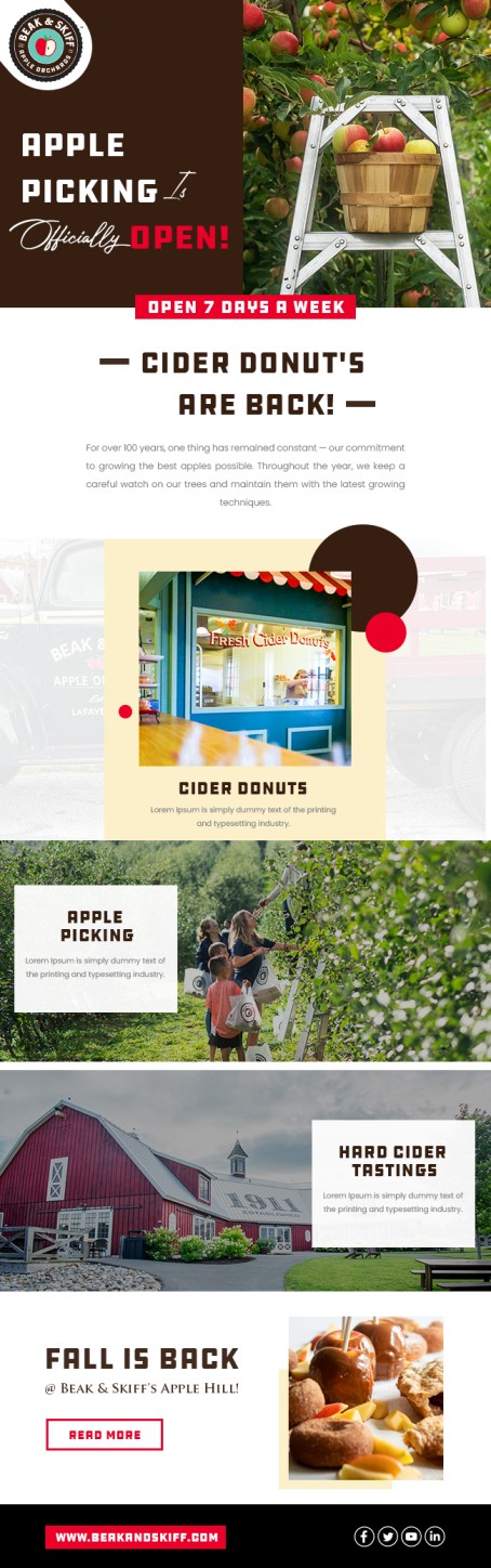 Email Marketing Design by Bright Star for this project | Design #29171178