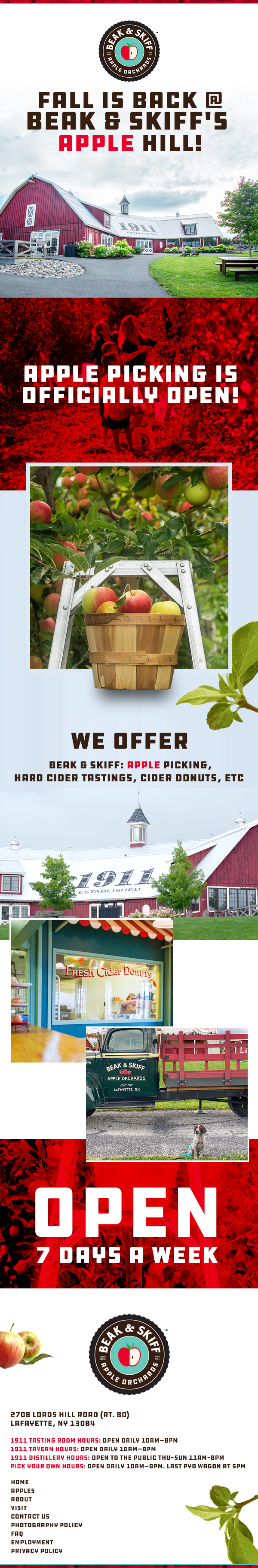 Email Marketing Design by nzdesigners for this project | Design #29172736