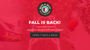 Email Marketing Design by ed_scenery