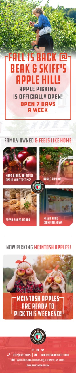 Email Marketing Design by Dp.designs for this project | Design #29192680