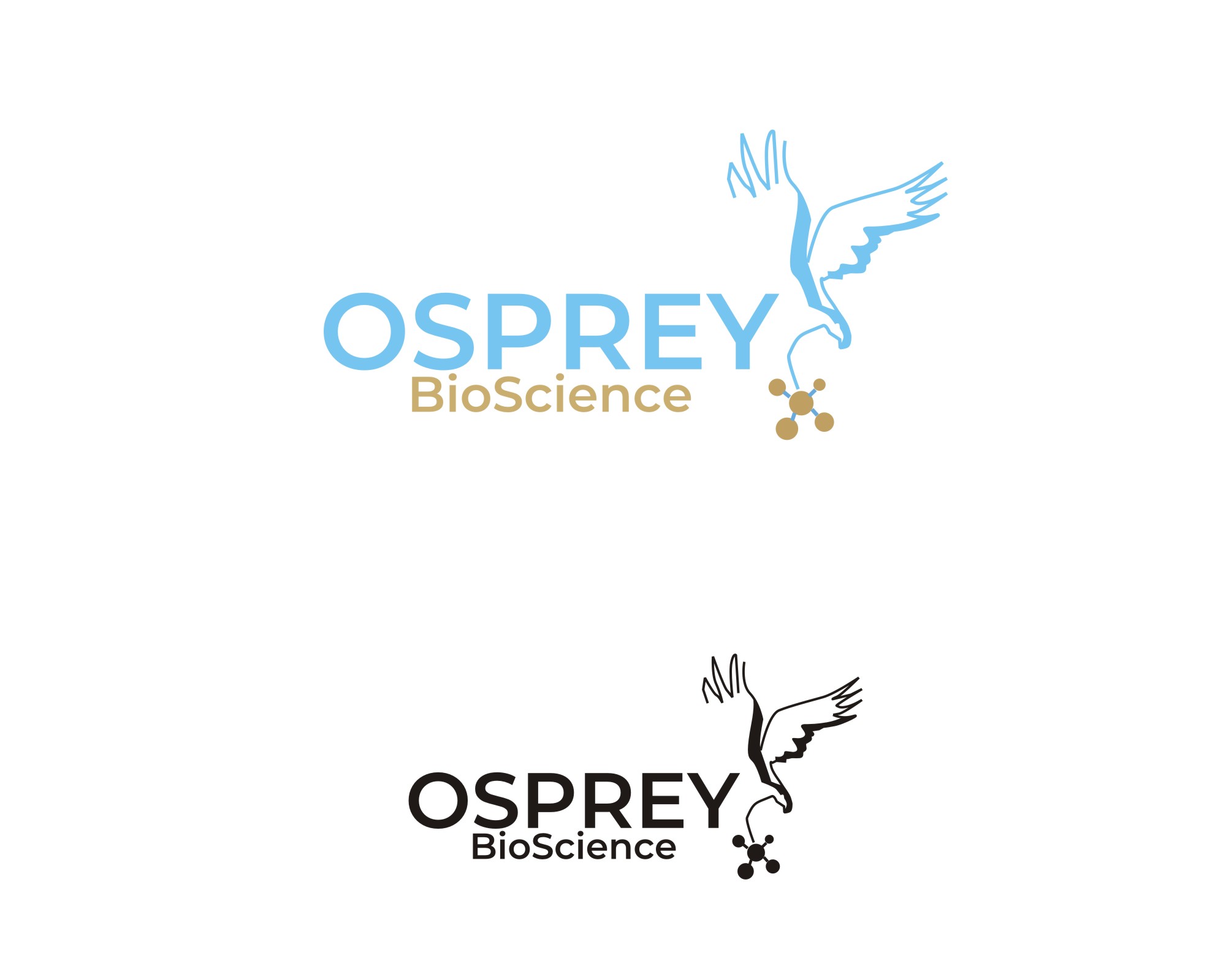 Logo Design by Falguni for this project | Design #29192423