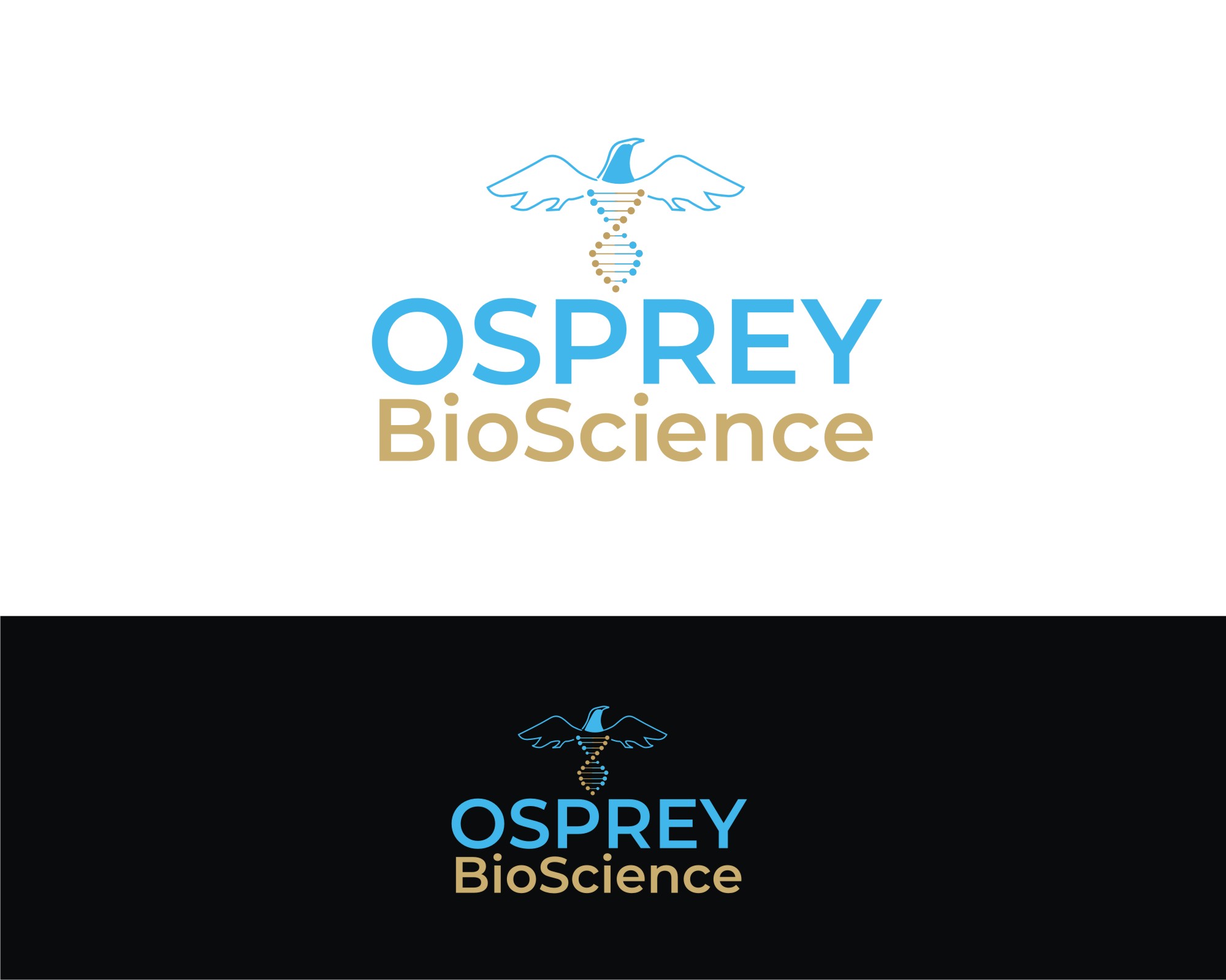 Logo Design by Falguni for this project | Design #29192618