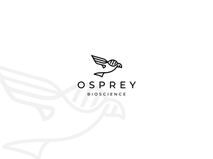 Logo Design by allynien