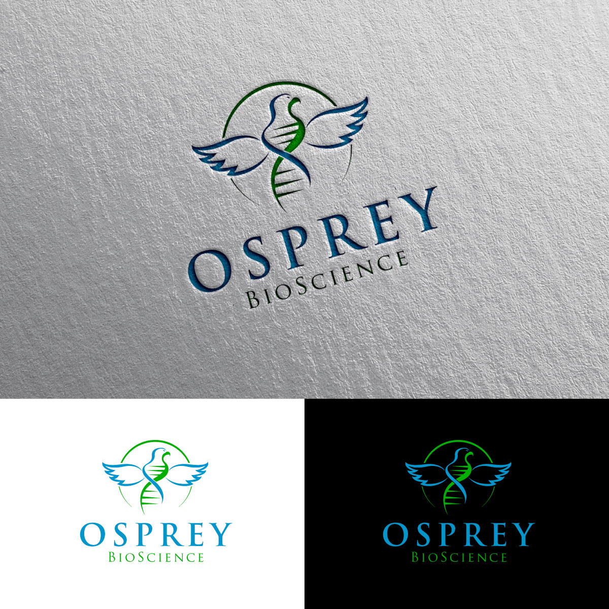 Logo Design by chris Ray for this project | Design #29167669