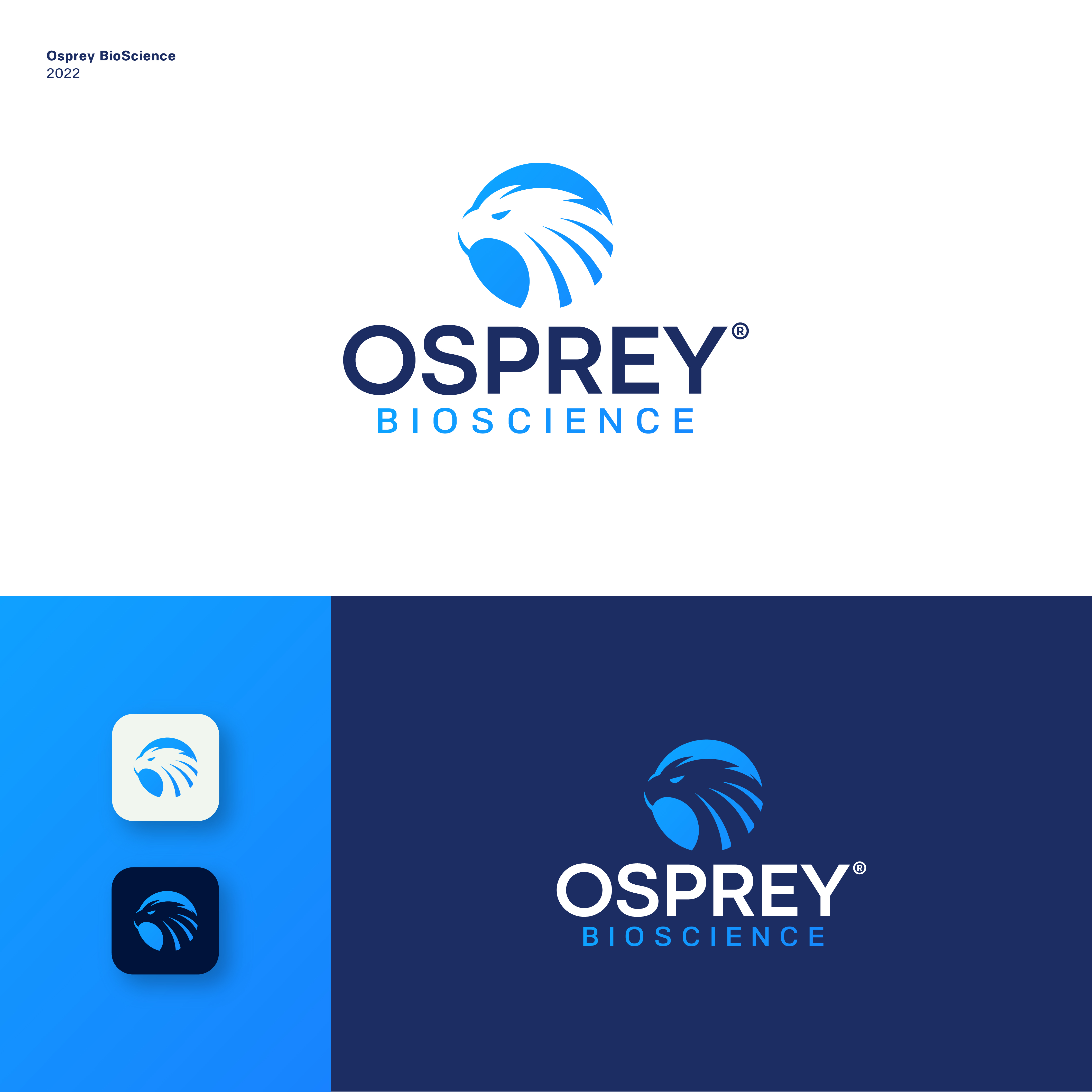 Logo Design by JBalloon Design for this project | Design #29189011