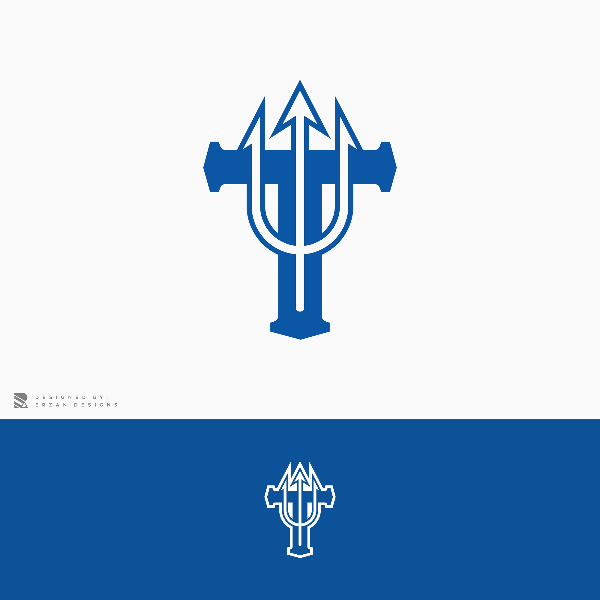 Logo-Design von Erzan Design für dieses Projekt | Design #29201422