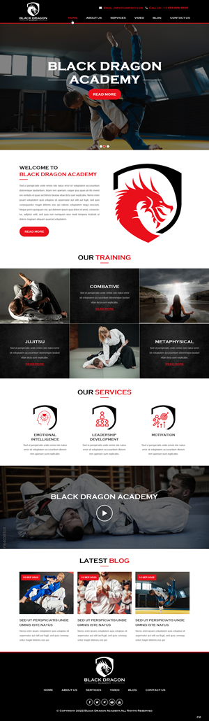 Web Design by pb for mhale@blackdragonacademy.org | Design #29180619