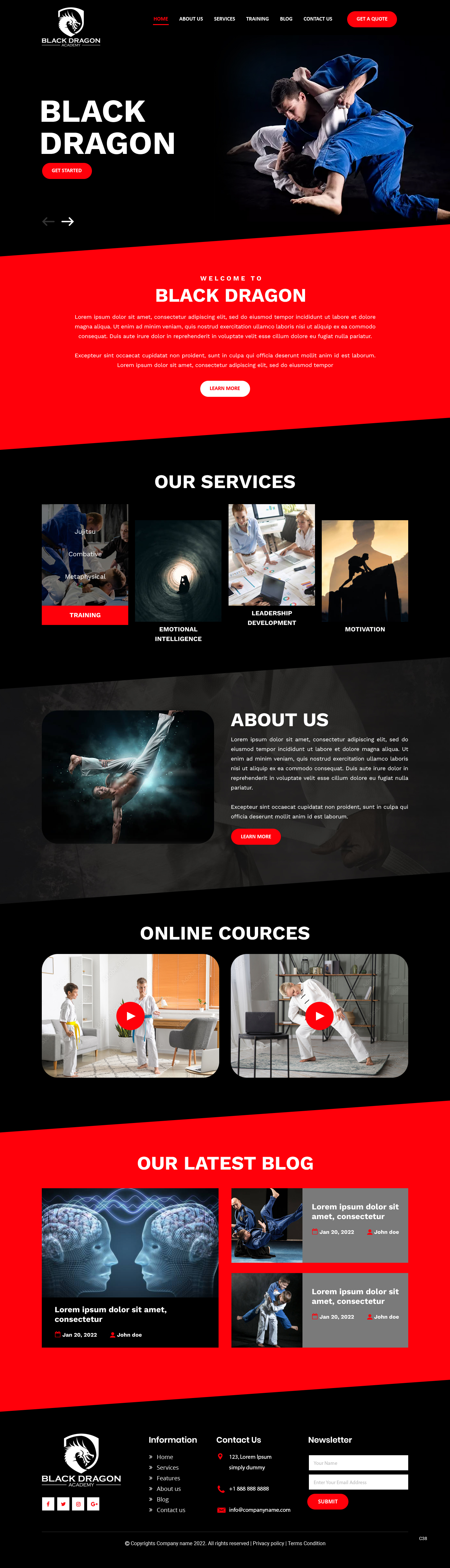 Web Design by pb for mhale@blackdragonacademy.org | Design #29194187