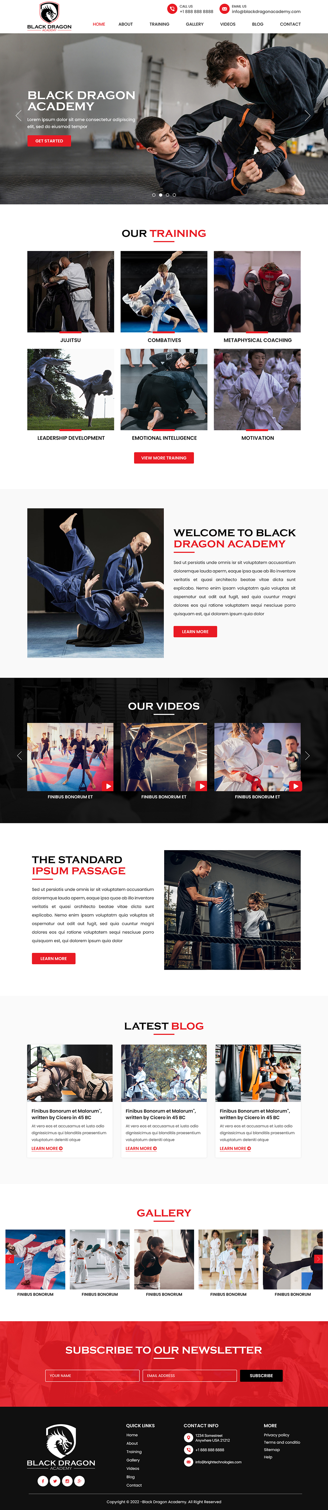 Web Design by Titan Eagle for mhale@blackdragonacademy.org | Design #29181257