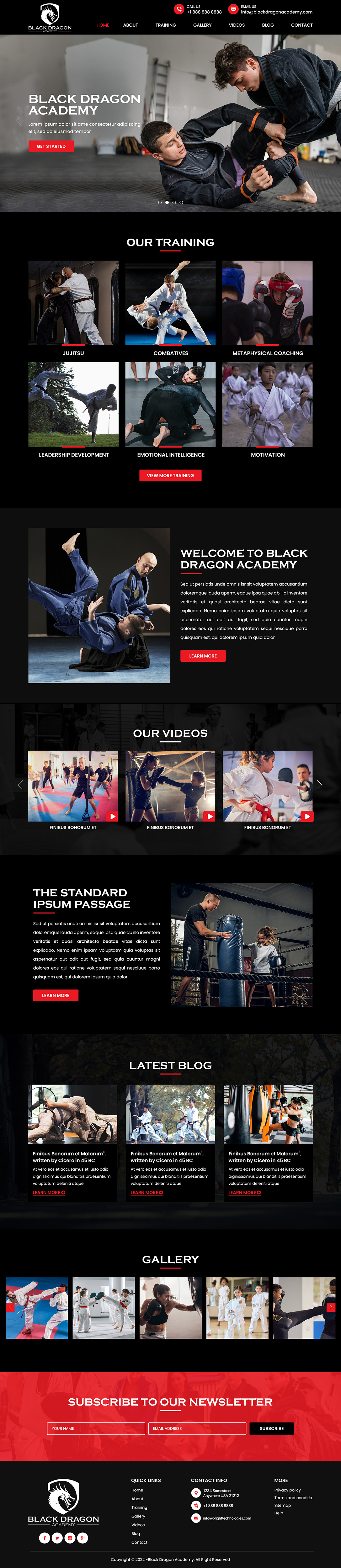 Web Design by Titan Eagle for mhale@blackdragonacademy.org | Design #29181266