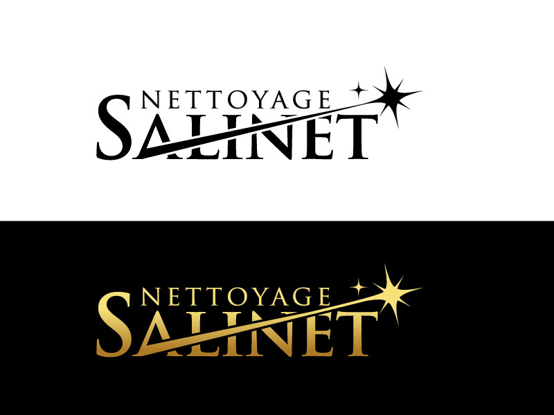 Design de Logo par Pro_DesignMaster pour T&A Nettoyage Cleaning | Design #29311552