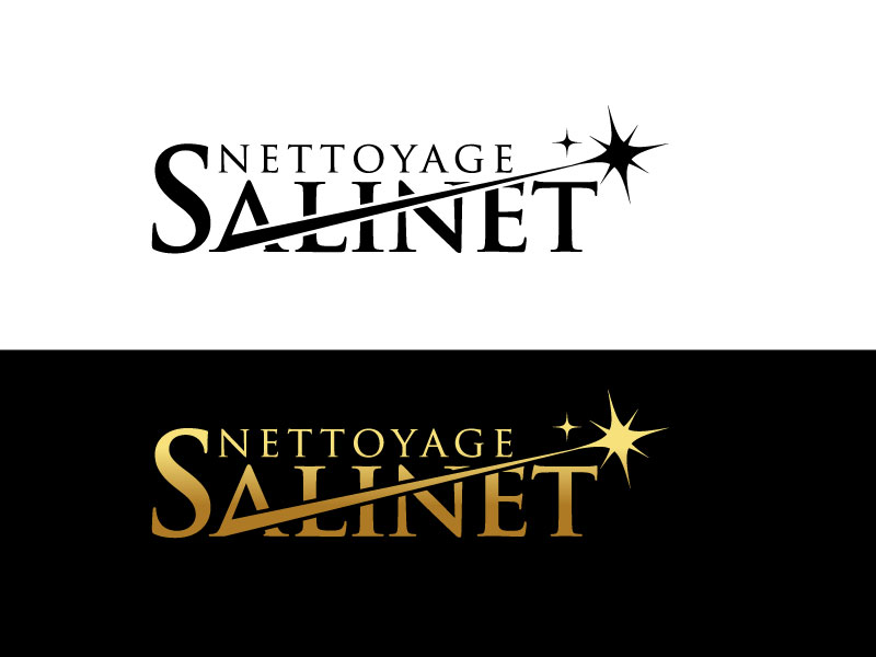 Design de Logo par Pro_DesignMaster pour T&A Nettoyage Cleaning | Design #29314775