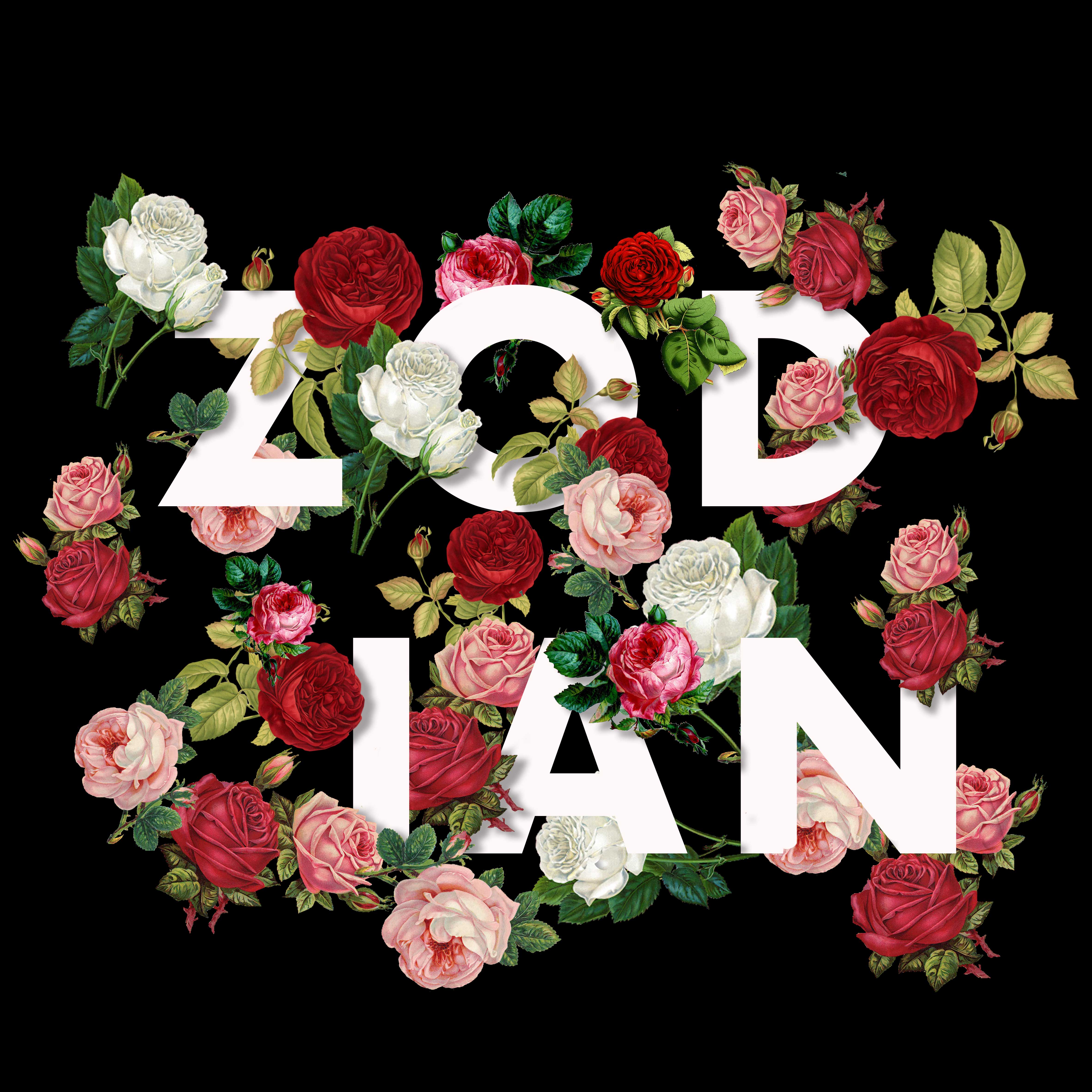 T-shirt Design by SandraCW for Zodian | Design #29180794