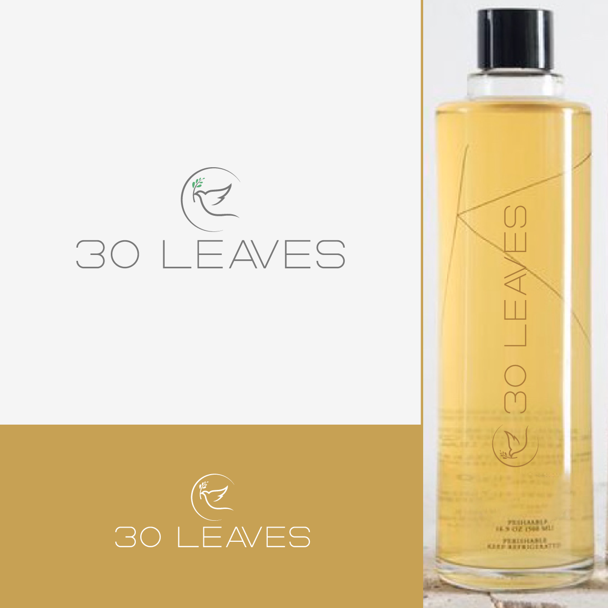 Logo Design by ashantha for n/a | Design #29213015