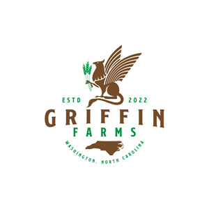 Logo Design by MagicArt Pix