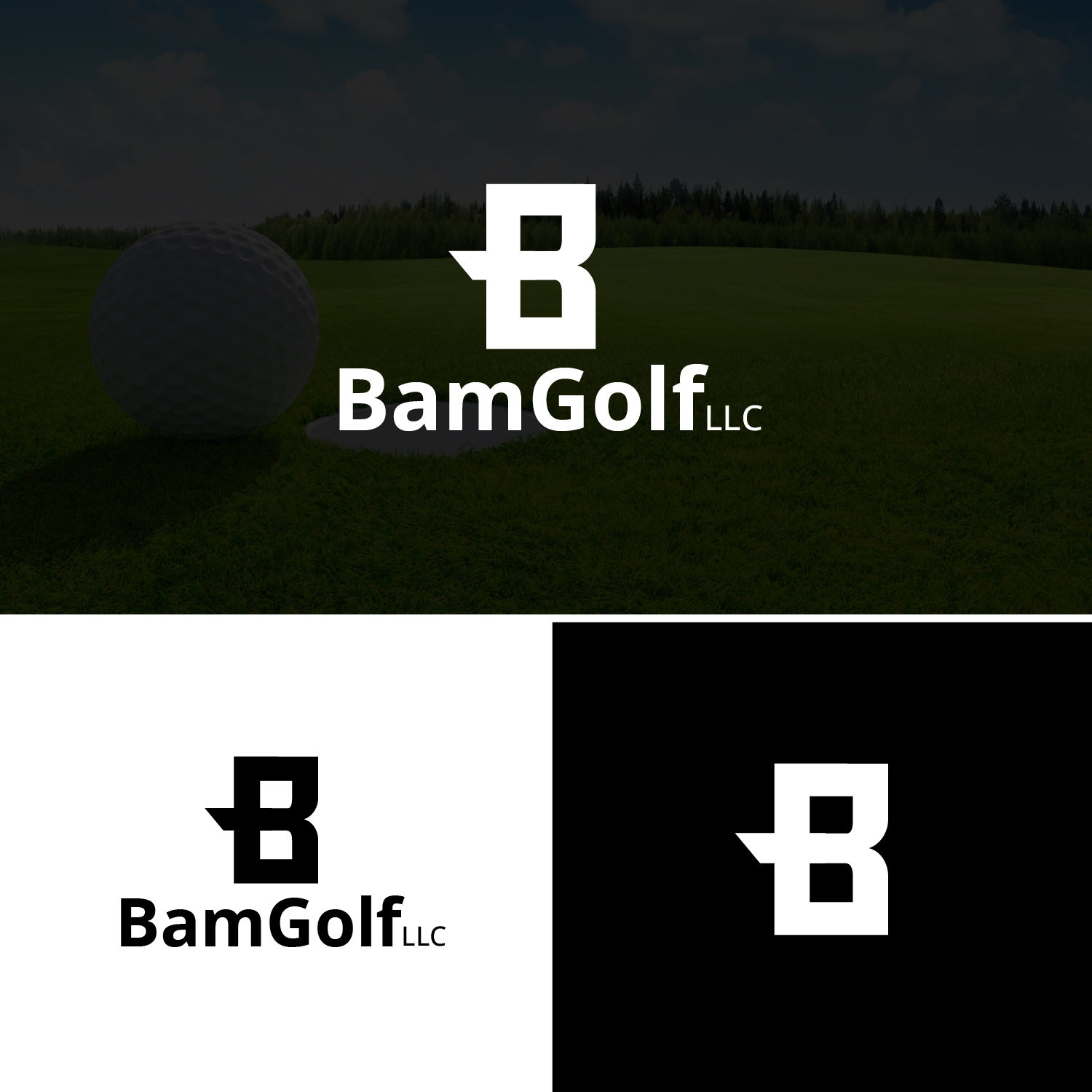 Logo Design by Revolt Team for this project | Design #29193460