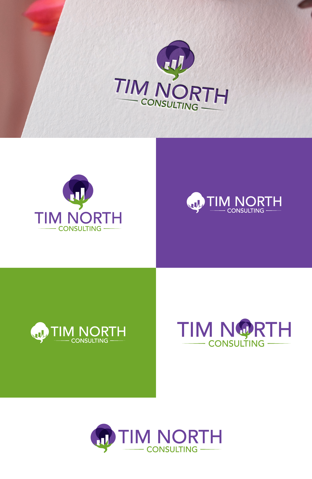 Logo Design by Ellene for Tim North Consulting | Design #29207547