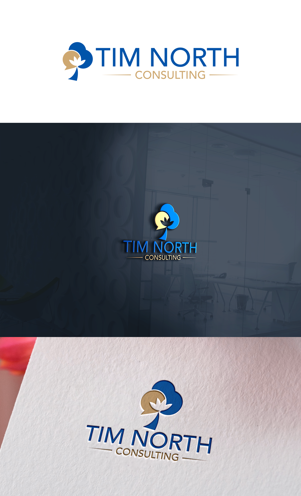 Logo Design by Ellene for Tim North Consulting | Design #29207608