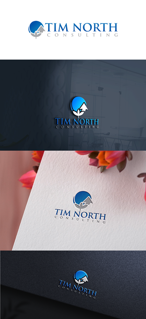 Logo Design by Ellene for Tim North Consulting | Design: #29207700