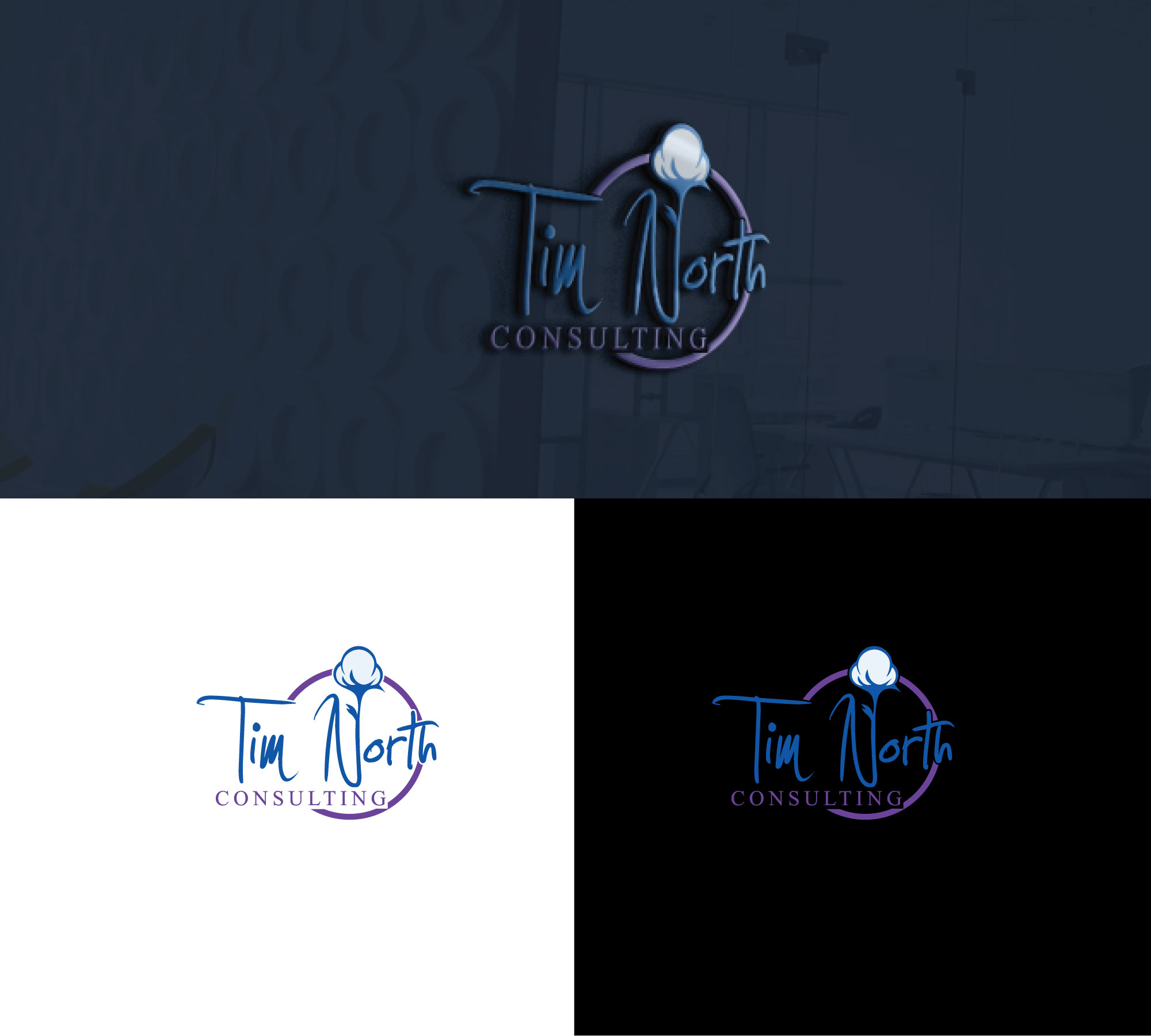 Logo Design by RRR Design for Tim North Consulting | Design #29193097