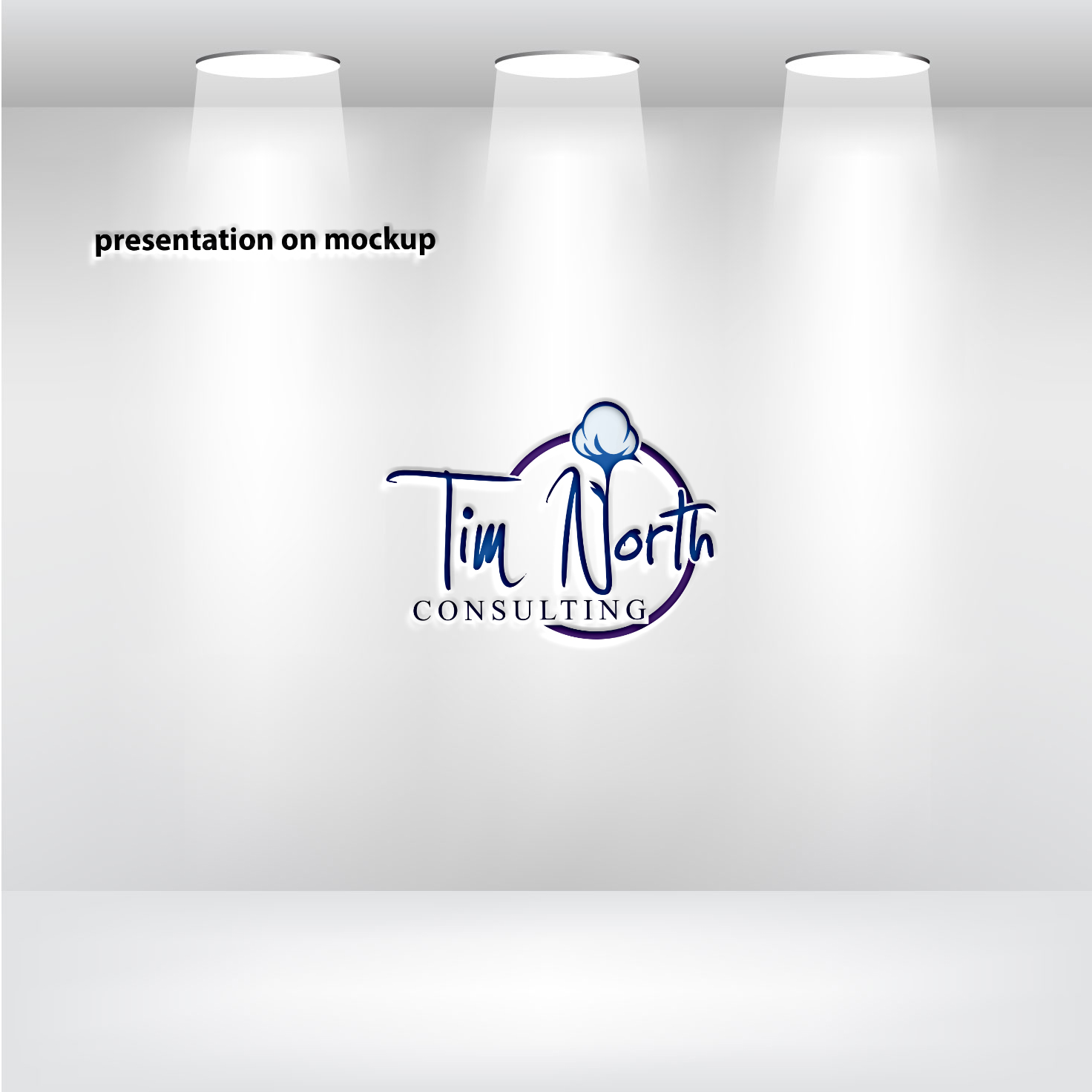 Logo Design by RRR Design for Tim North Consulting | Design #29193098