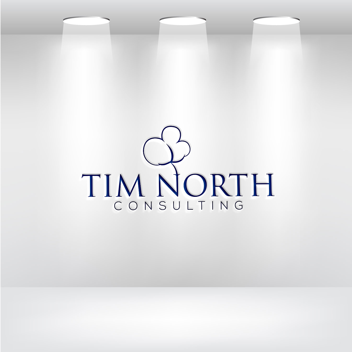 Logo Design by Mariha Akter for Tim North Consulting | Design #29193762