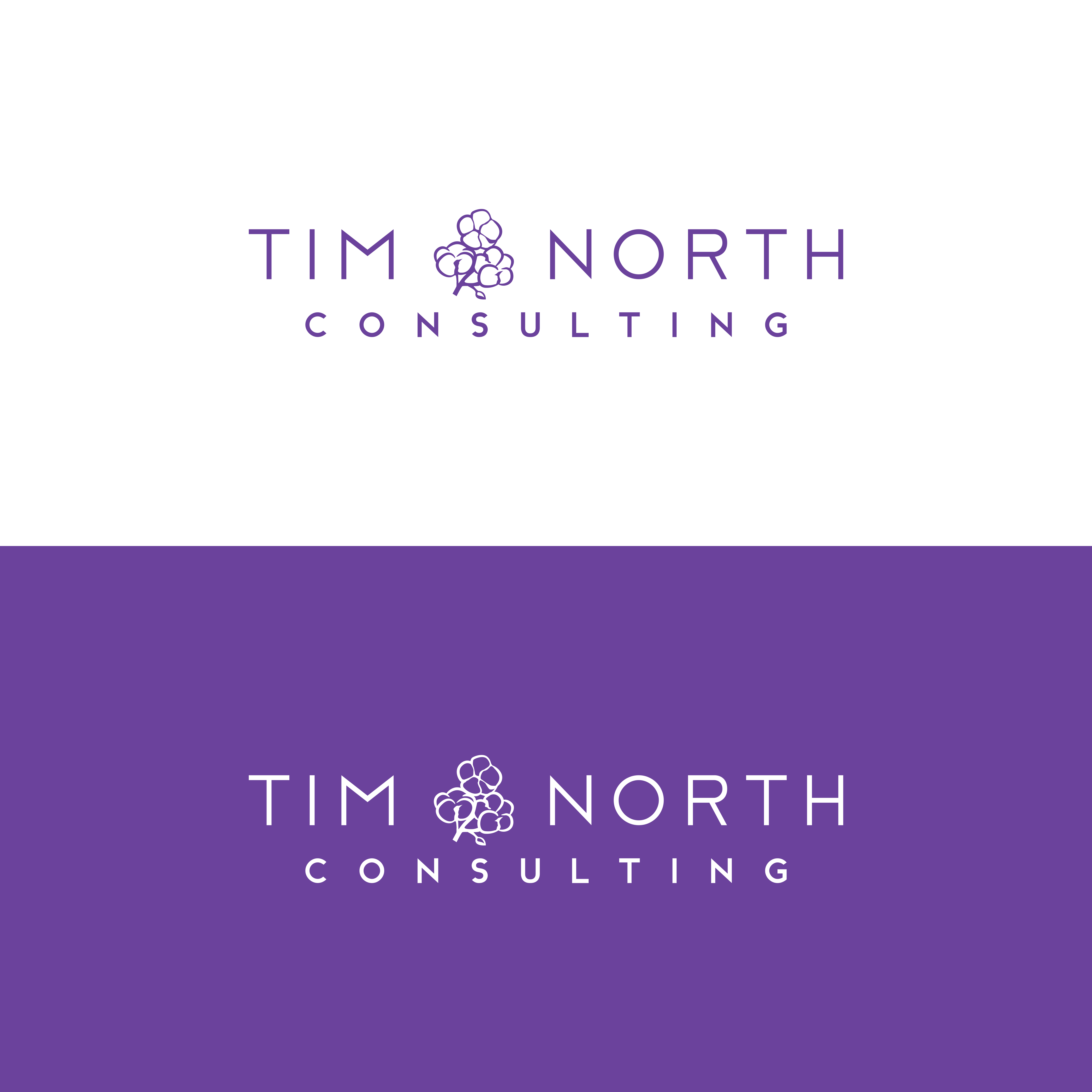 Design de Logo par ramu 6 pour Tim North Consulting | Design #29217599
