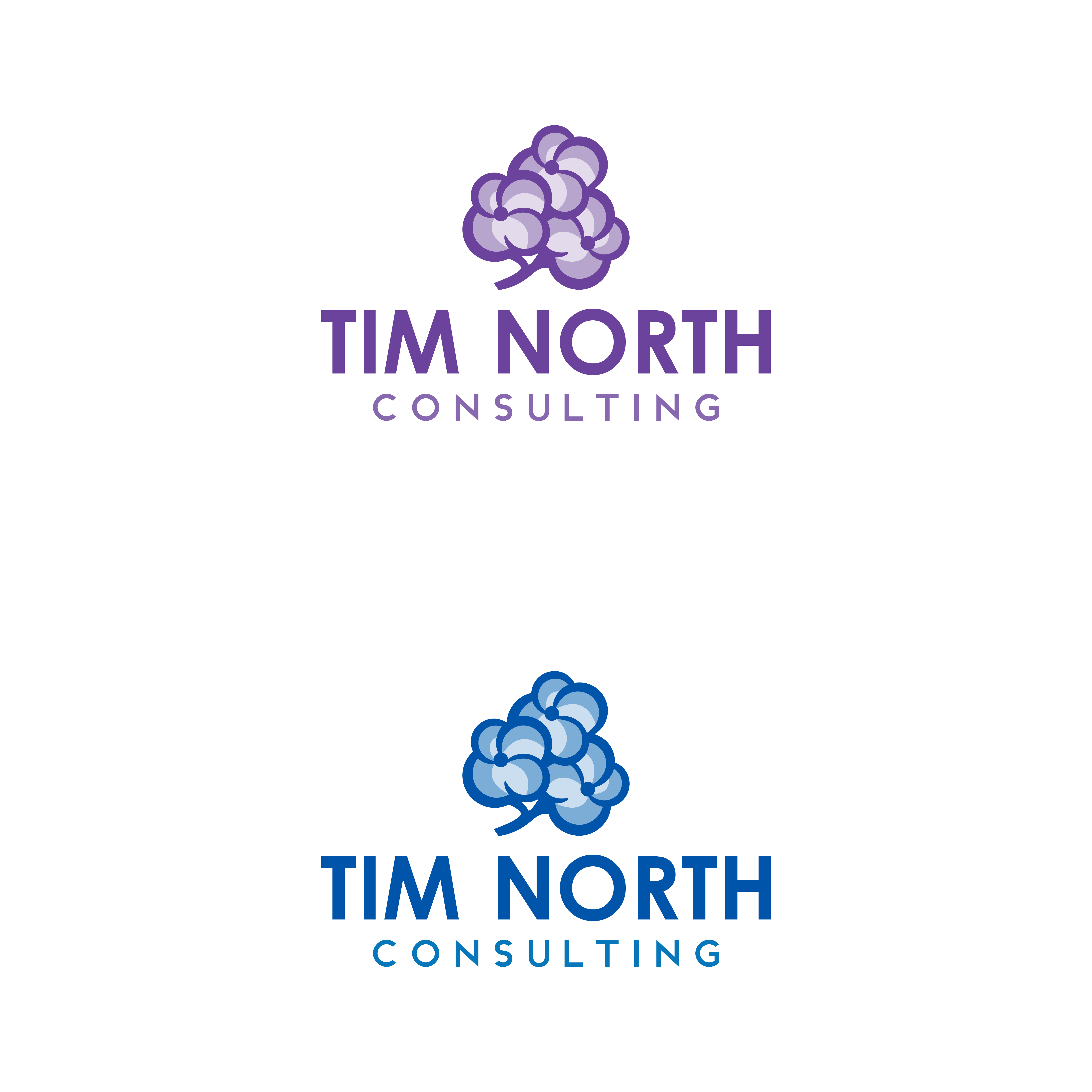 Logo Design by ramu 6 for Tim North Consulting | Design #29217600