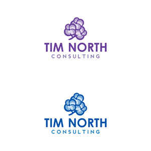 Logo Design by ramu 6 for Tim North Consulting | Design: #29217600
