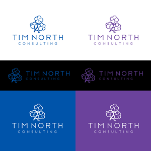 Logo Design by ramu 6 for Tim North Consulting | Design: #29217602