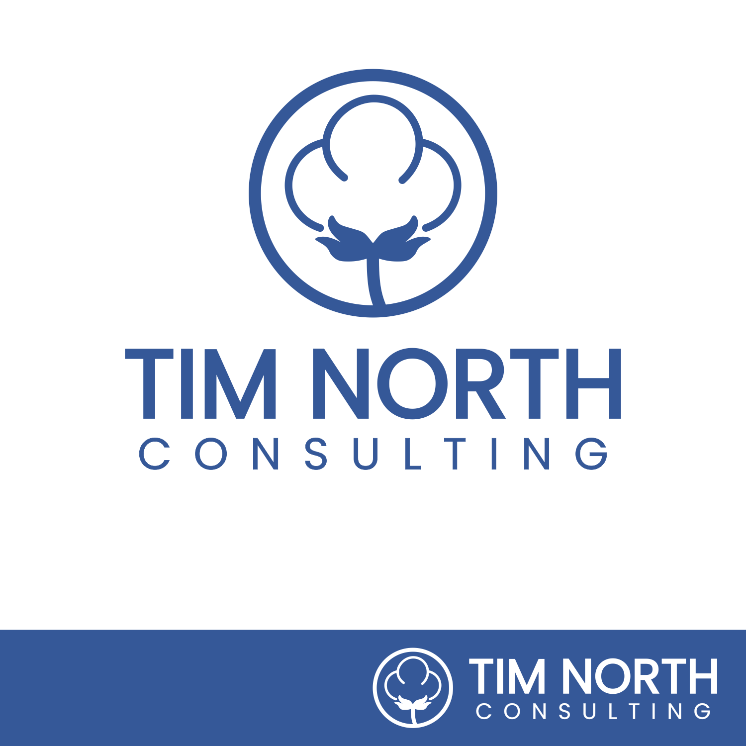 Logo Design by GambarSERU for Tim North Consulting | Design #29191851