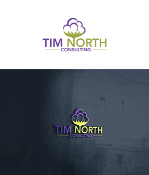 Logo Design by RA-bica for Tim North Consulting | Design: #29204607