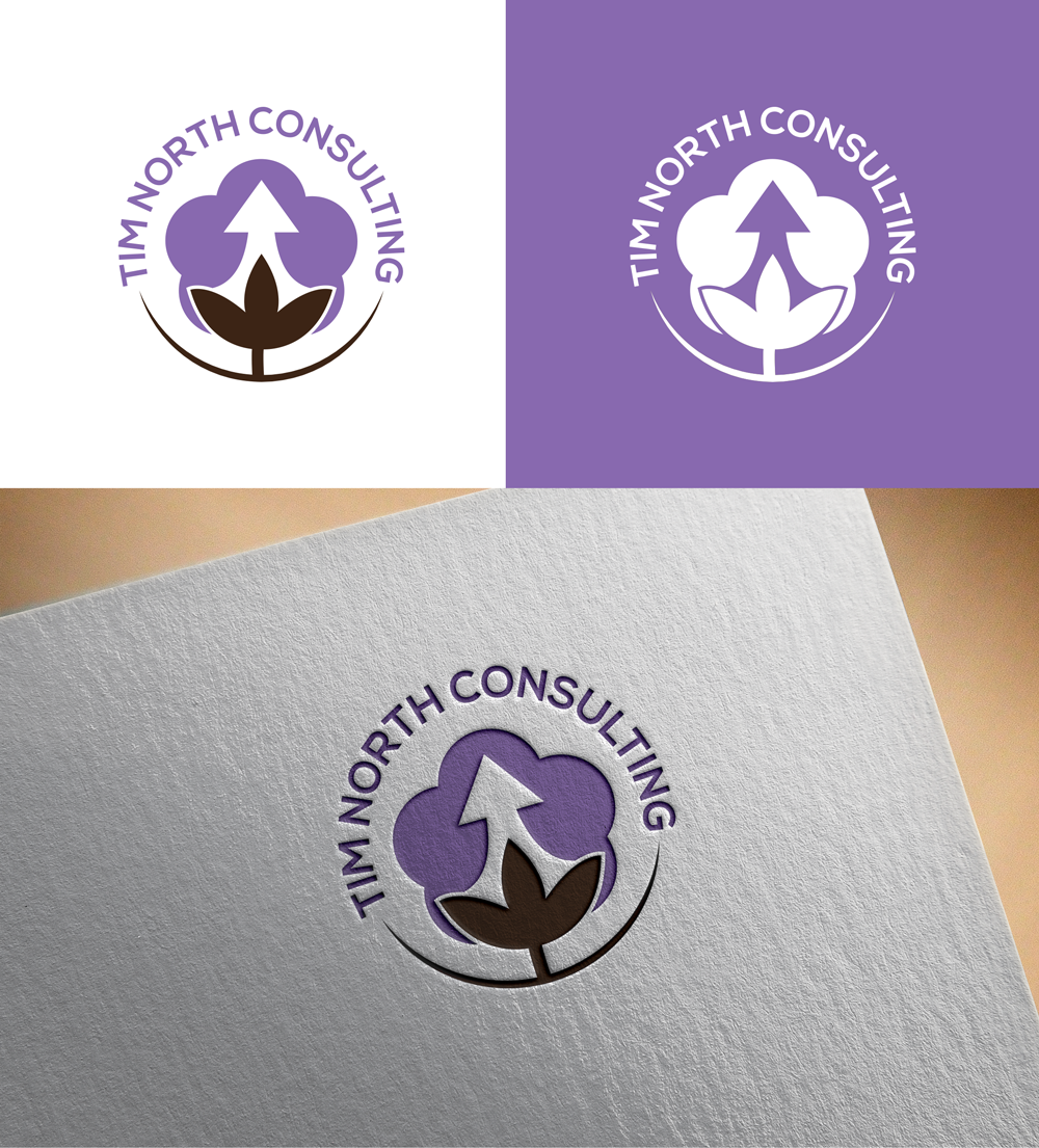 Logo Design by RA-bica for Tim North Consulting | Design #29204611