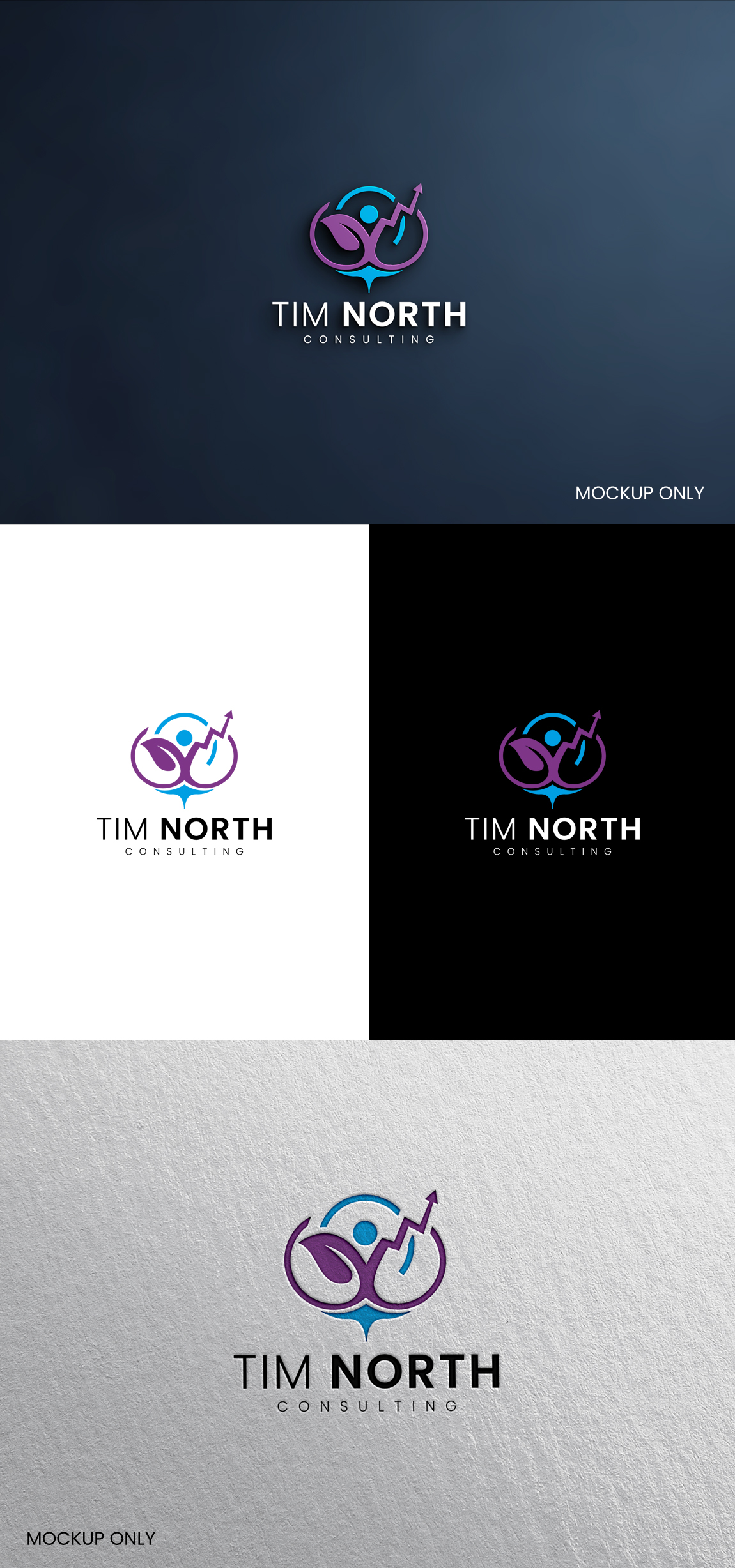 Logo Design by SL Designer for Tim North Consulting | Design #29195128