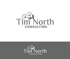 Logo Design by ecorokerz for Tim North Consulting | Design: #29192817