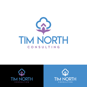 Logo Design by Magic of Art for Tim North Consulting | Design: #29194137