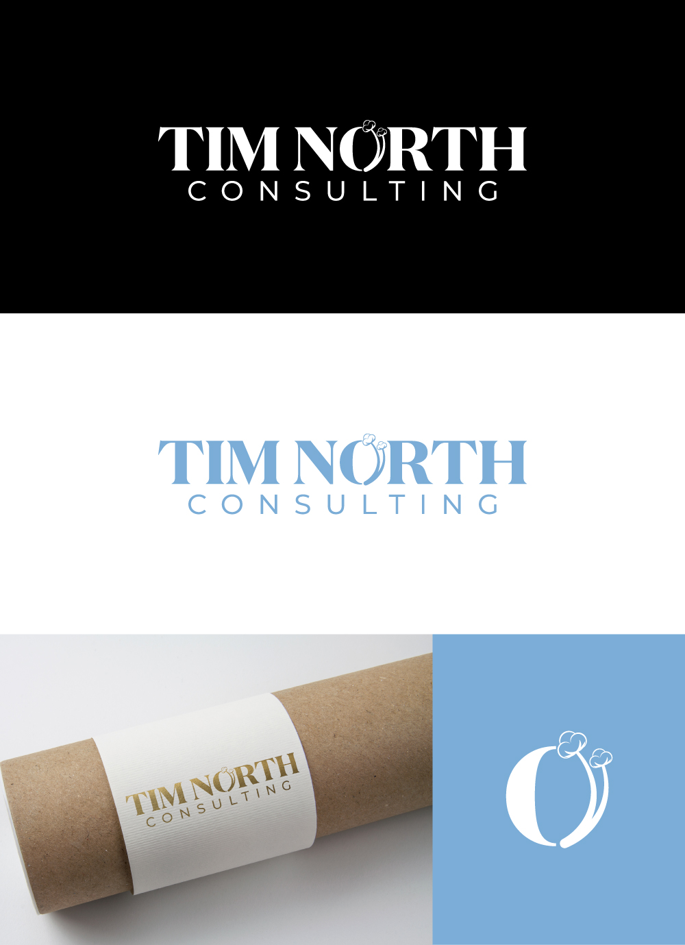 Logo Design by Cactus Designs for Tim North Consulting | Design #29194861