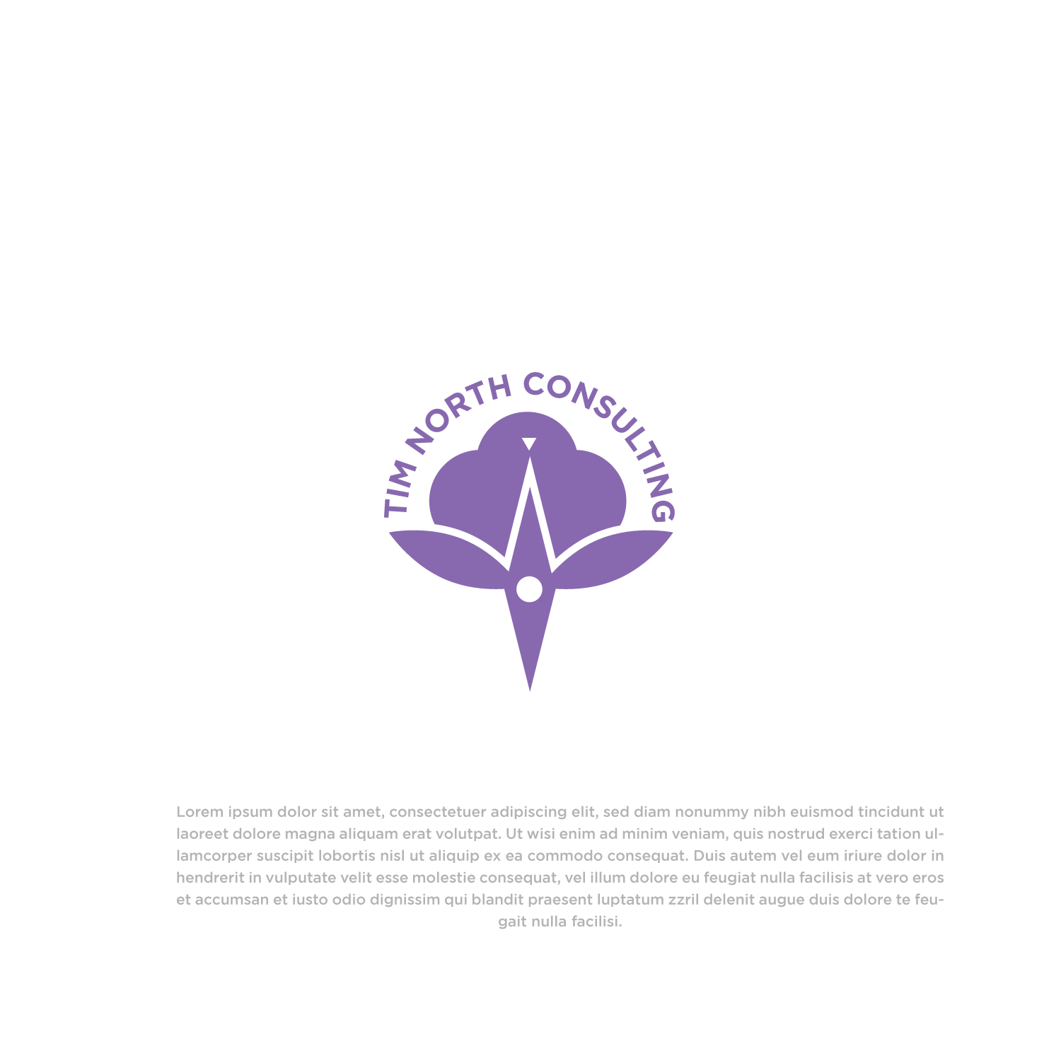 Logo Design by Abdul 20 for Tim North Consulting | Design #29198965