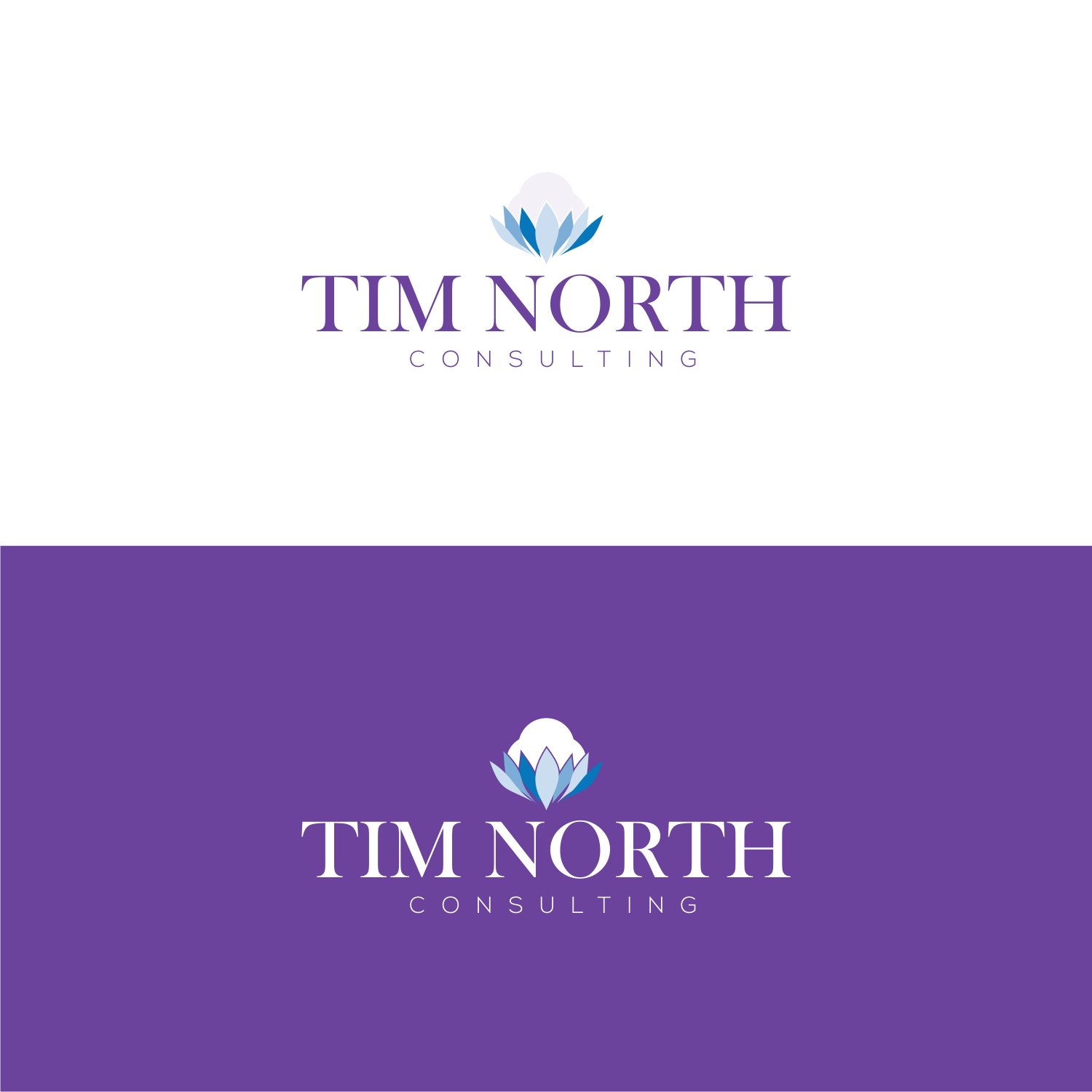 Logo Design by R16 for Tim North Consulting | Design #29225822