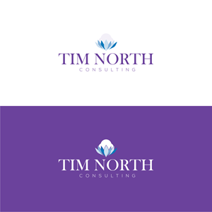 Logo Design by R16 for Tim North Consulting | Design: #29225822