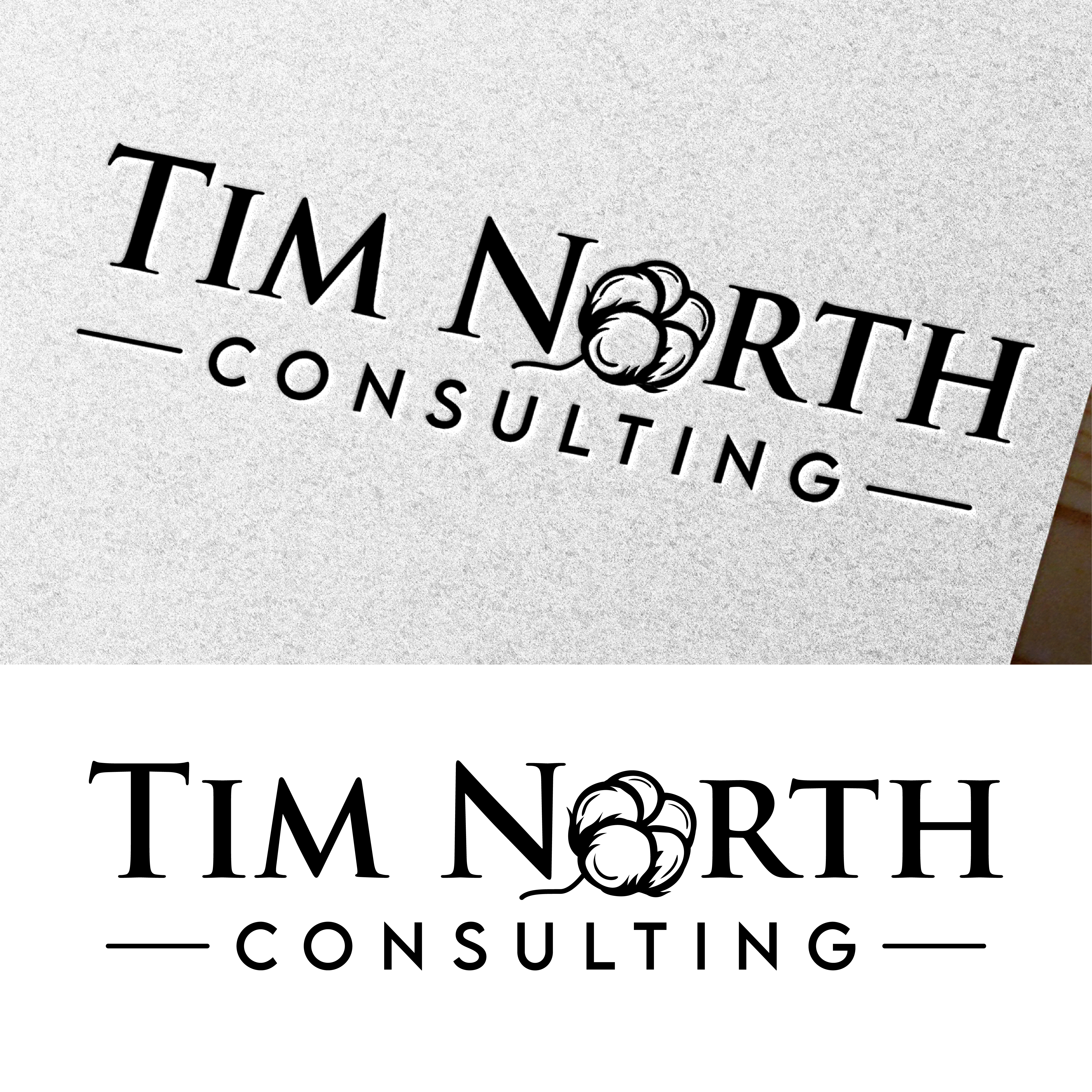 Logo-Design von ARTchemist für Tim North Consulting | Design #29192062