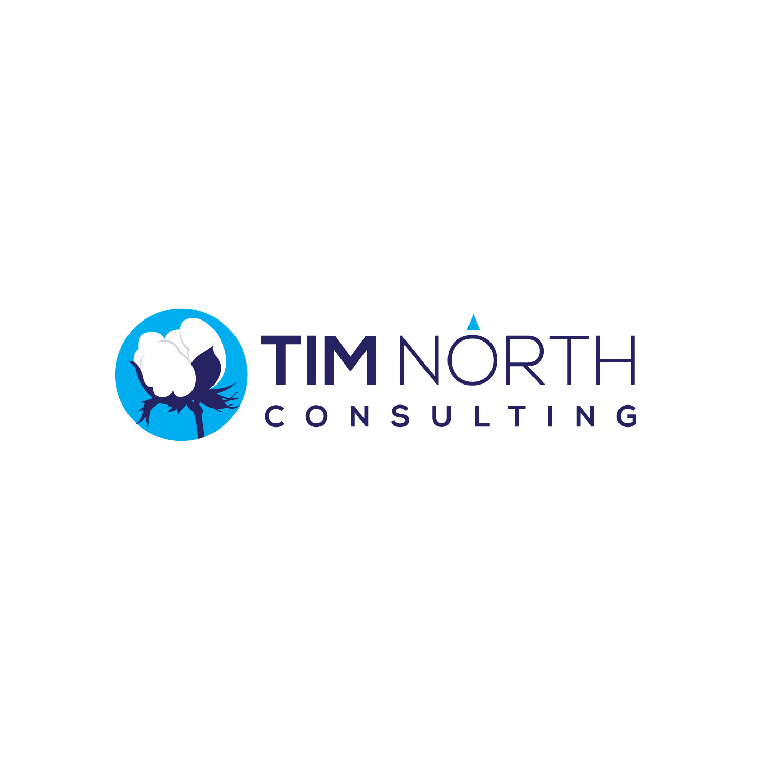 Logo Design by geni for Tim North Consulting | Design #29216977