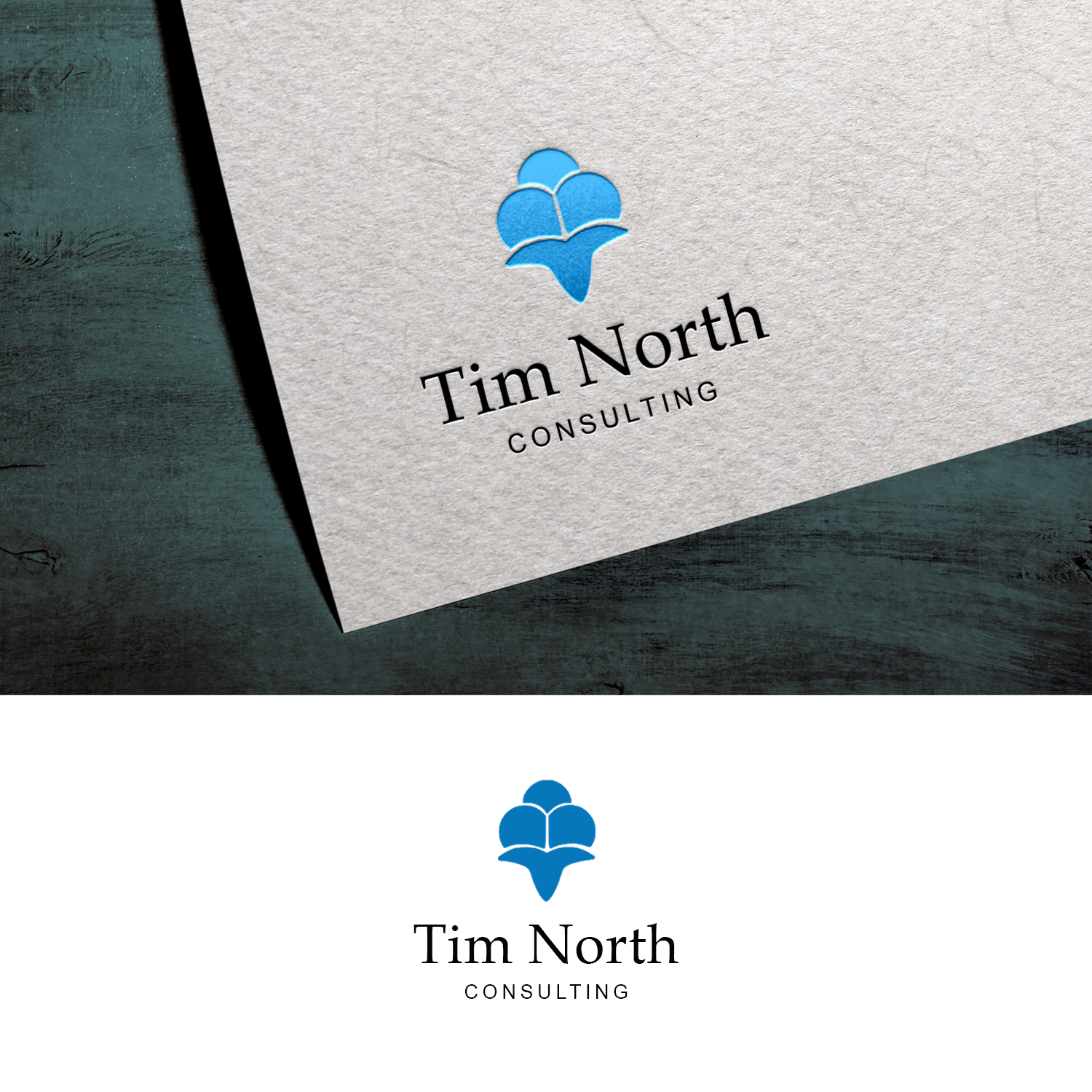 Logo Design by Thepilotguy for Tim North Consulting | Design #29192945