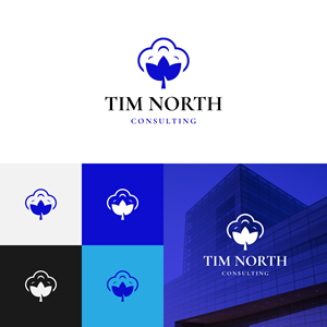 Logo Design by A.R.D.P for Tim North Consulting | Design: #29223763