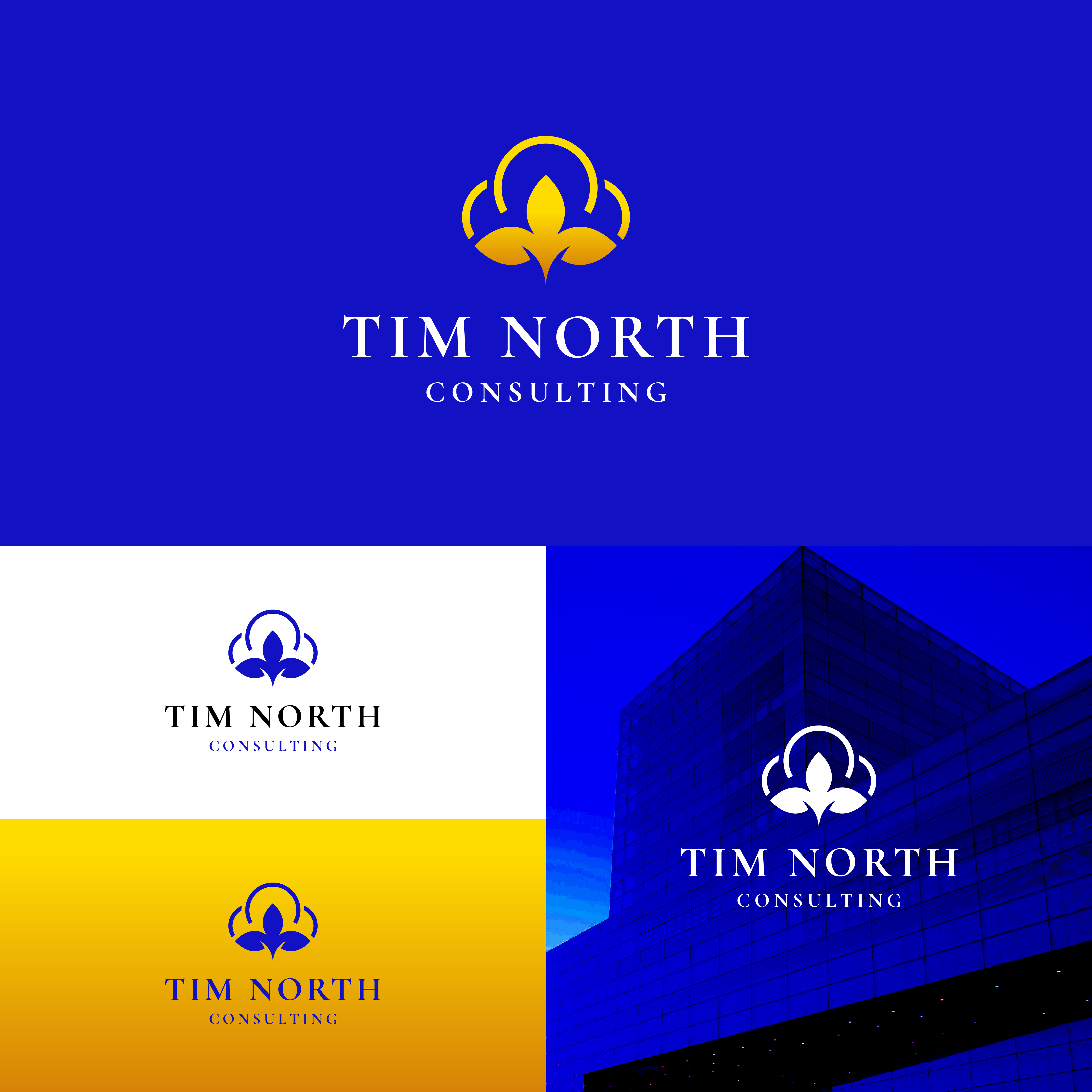 Logo-Design von A.R.D.P für Tim North Consulting | Design #29223886