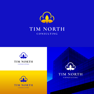 Logo Design by A.R.D.P for Tim North Consulting | Design: #29223886