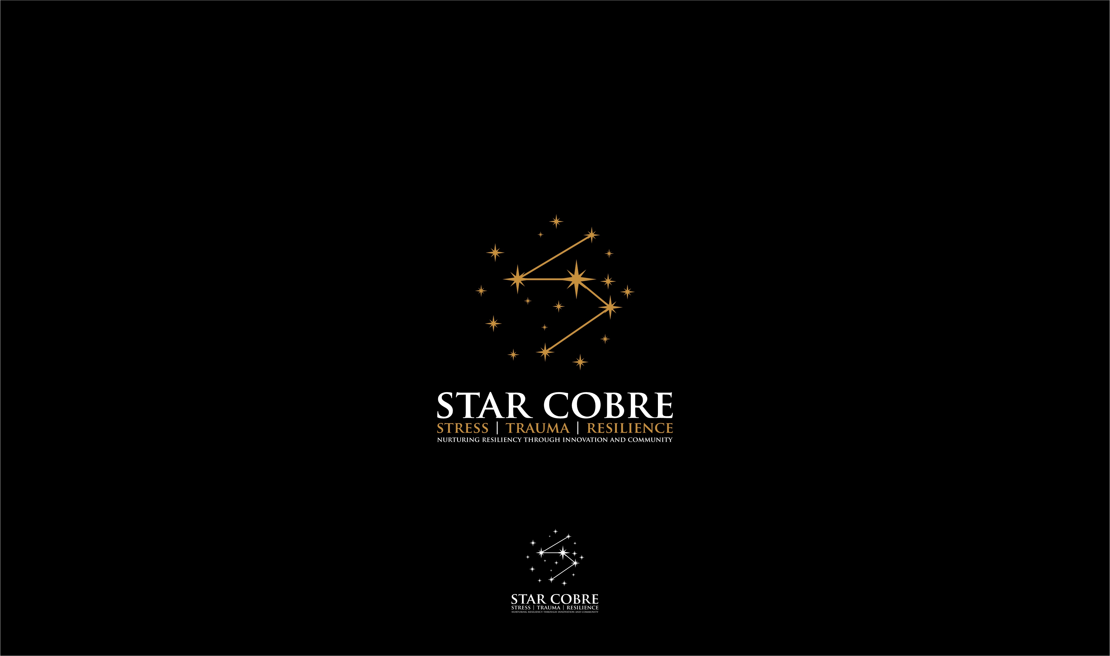 Logo Design by big daddy bojat for this project | Design #29360777