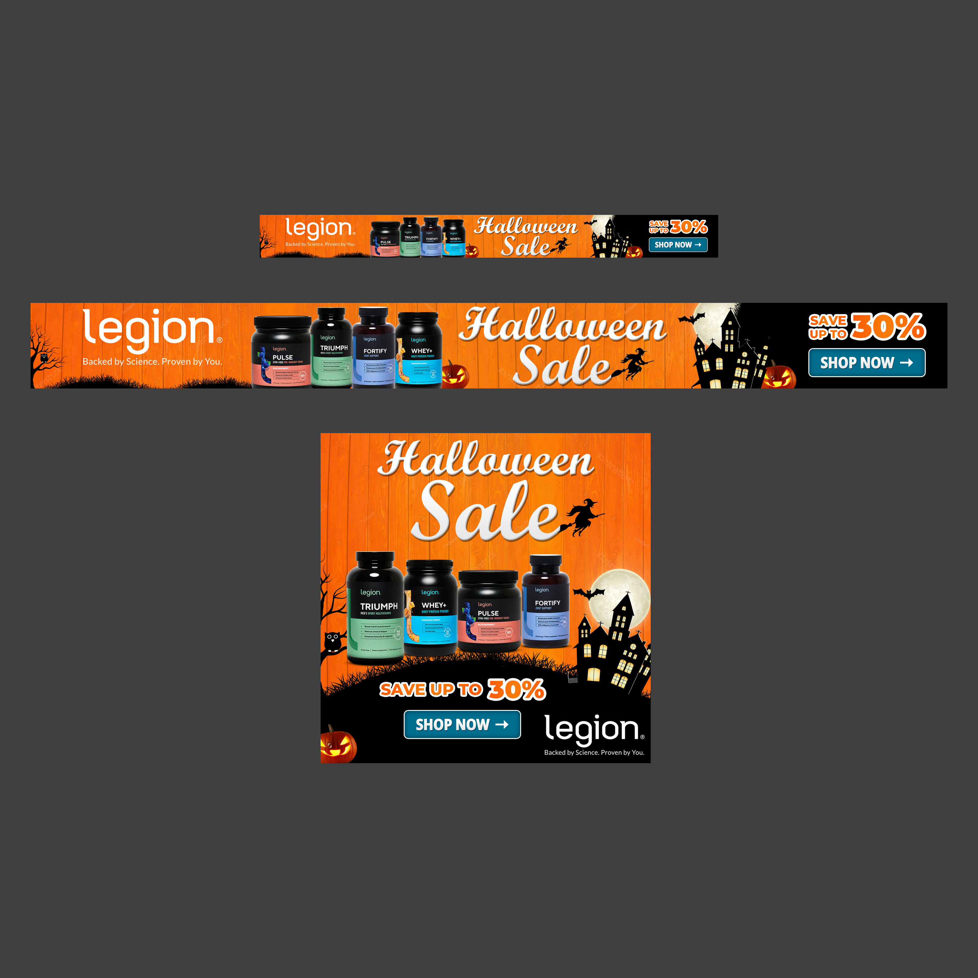 Banner Ad Design by Shaurya Arts for this project | Design #29205303