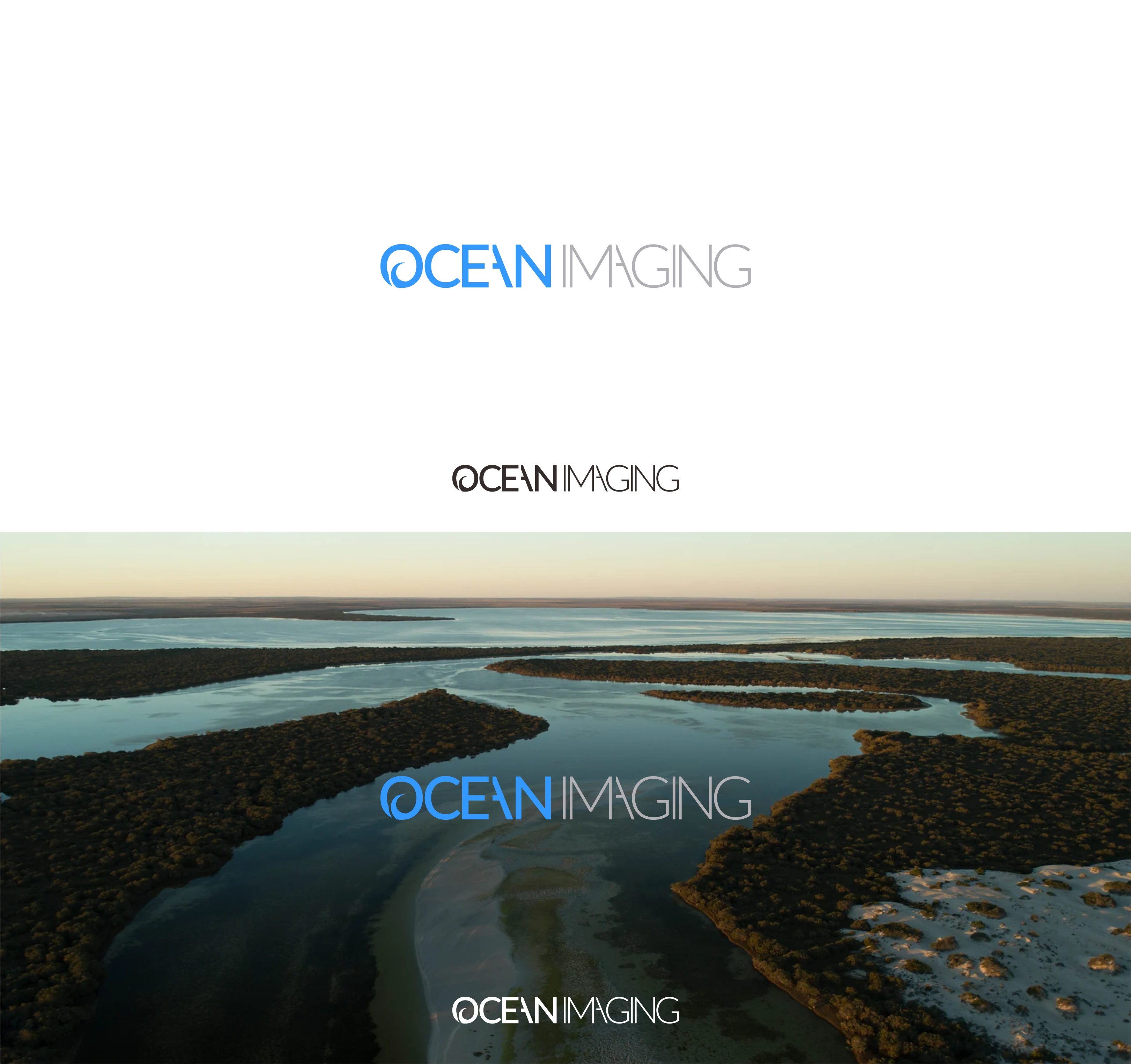 Logo-Design von big daddy bojat für dieses Projekt | Design #29213554