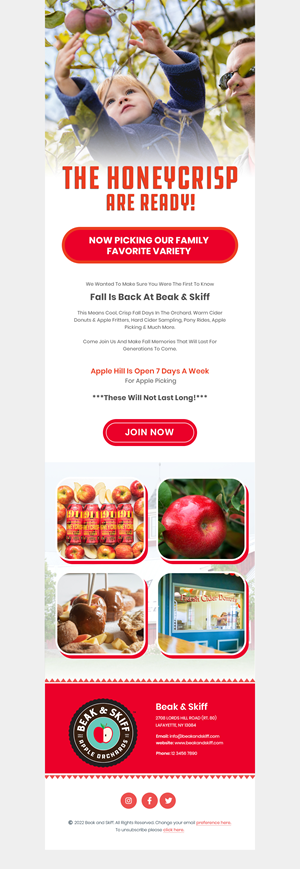 Email Marketing Design by Expert Designer